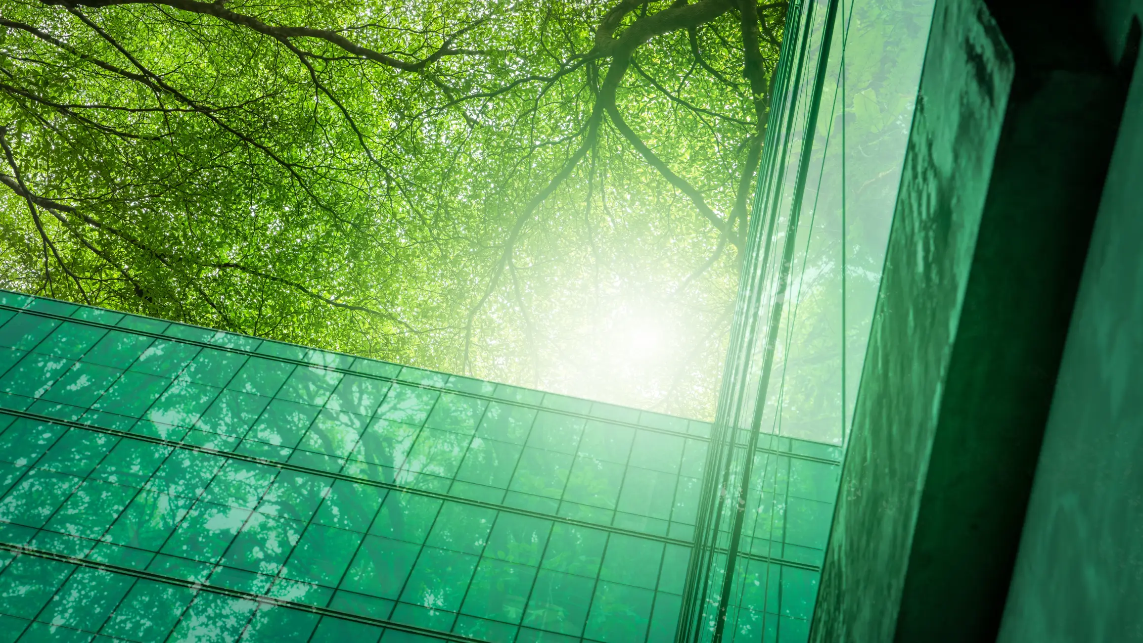 Our ESG and sustainability services