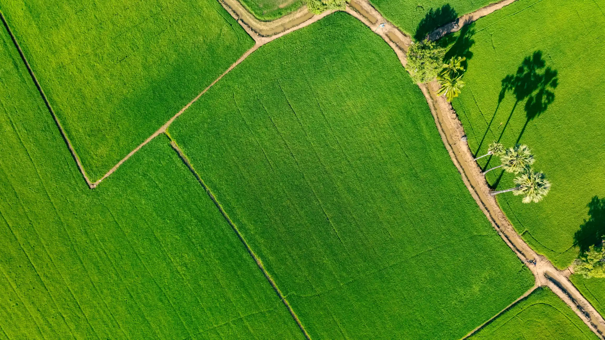 Our land services