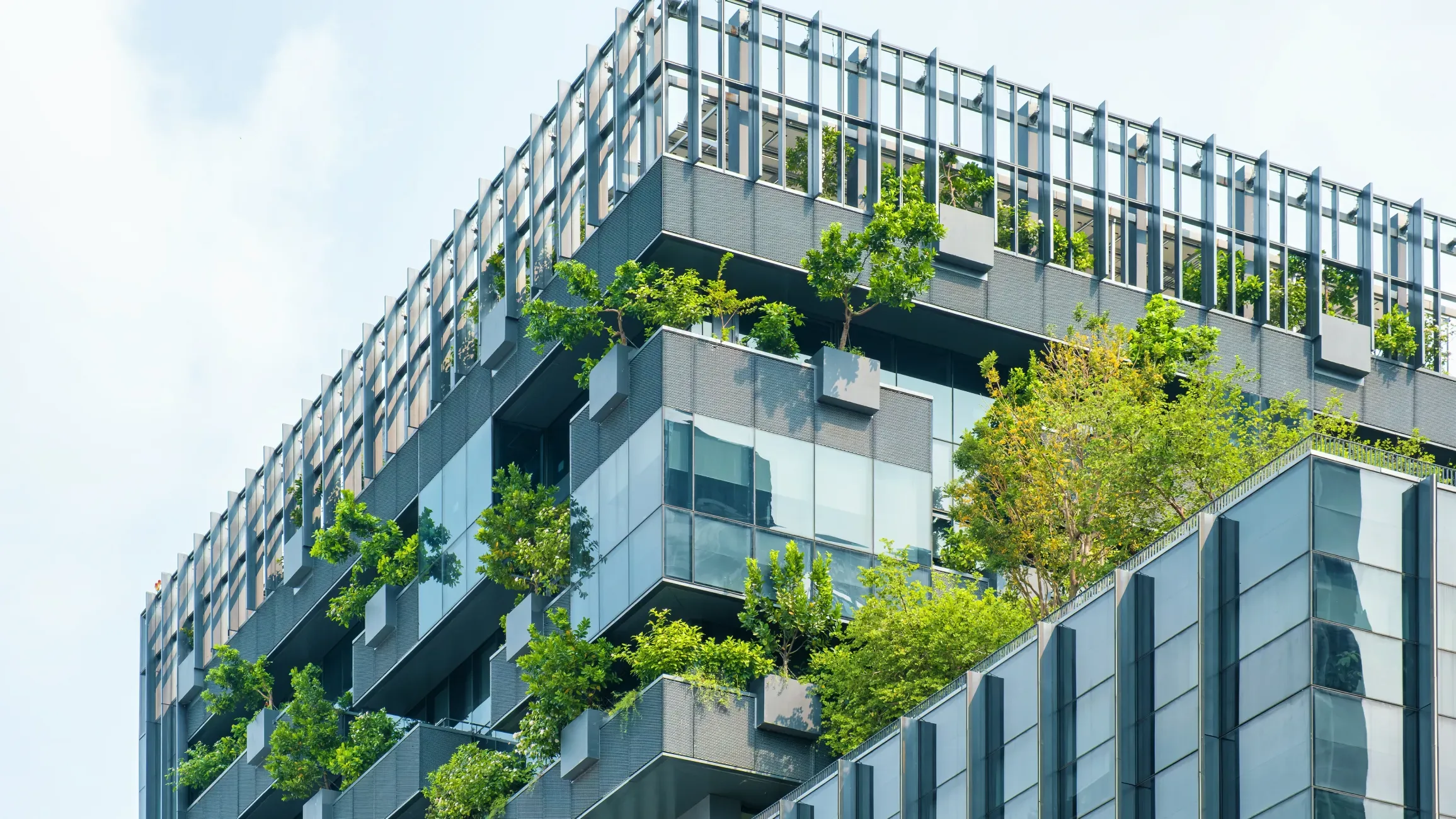 ESG & Sustainability