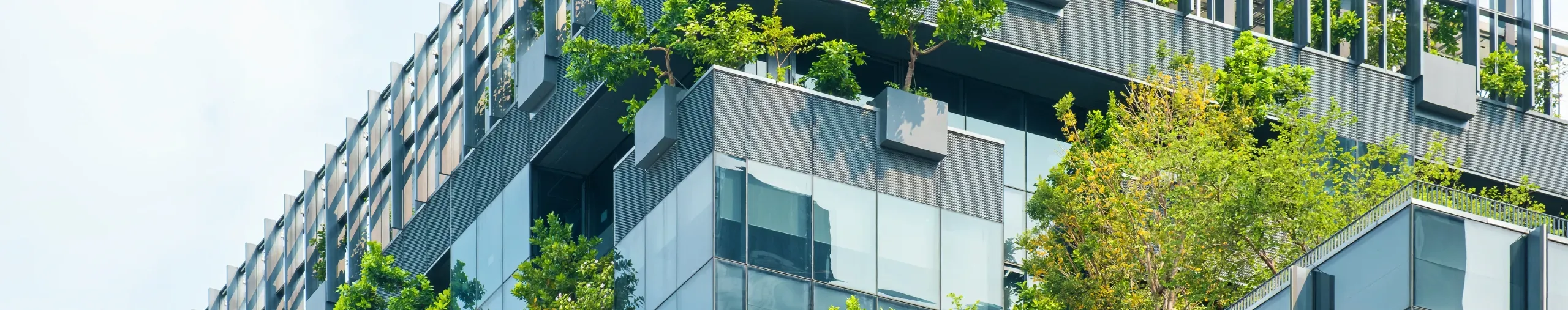 ESG & Sustainability