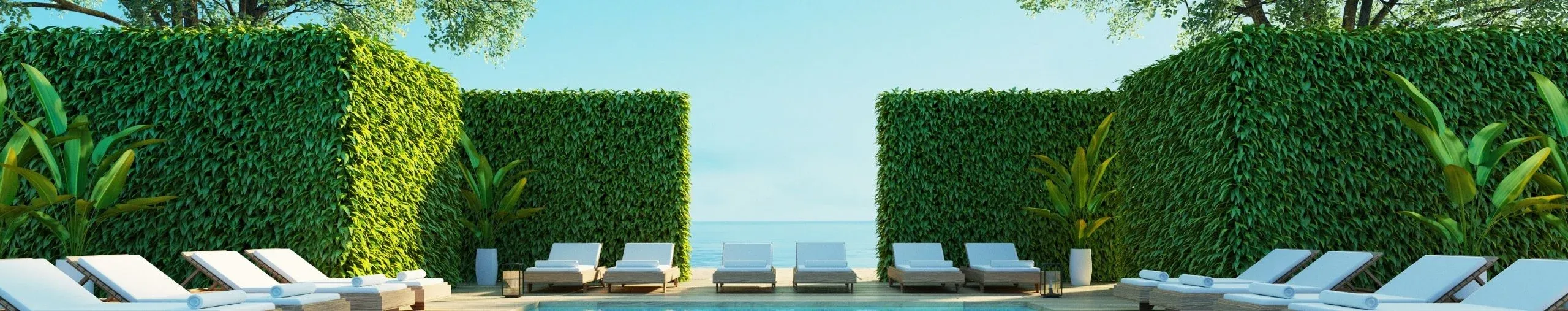 Services in Phuket
